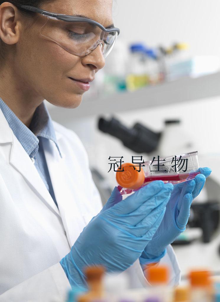 Colo738细胞-人胸腔积液恶性纤维组织细胞