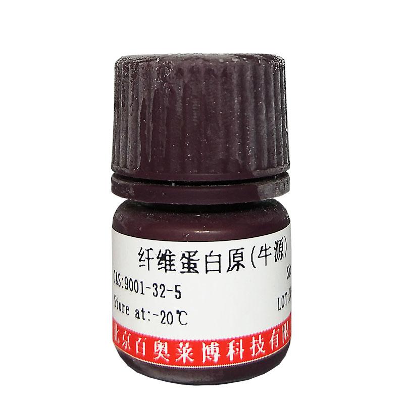 DNA分选纯化磁珠