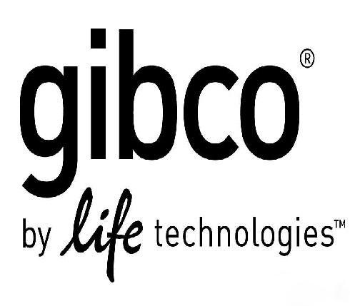 现货供应 GIBCO C12571500BT α-MEM培养基价格,详情介绍-960化工网 – 960化工网