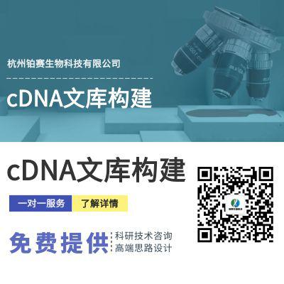 cDNA文库构建