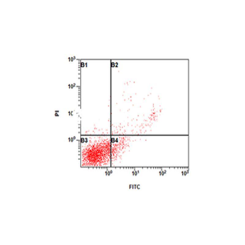 Fcm Annexin V Pi