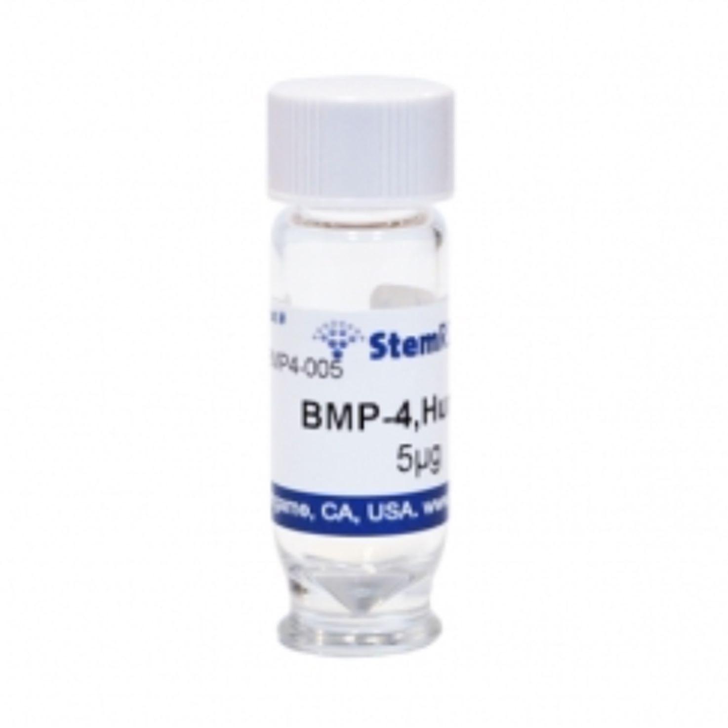 StemRD BMP4-025 bone morphogenetic protein 4, BMP4人骨形态发生蛋白4