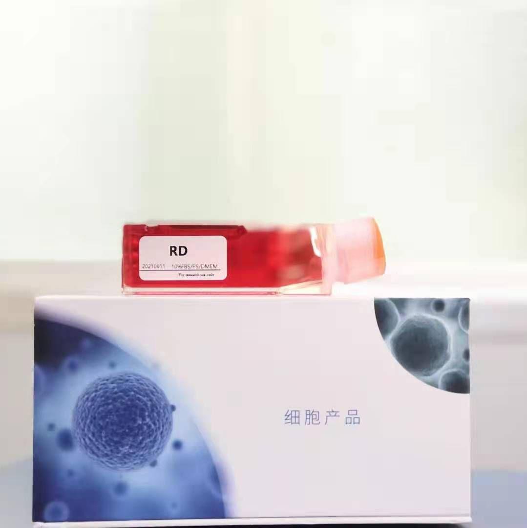 Beta-TC-6（小鼠胰岛素瘤胰岛β细胞）