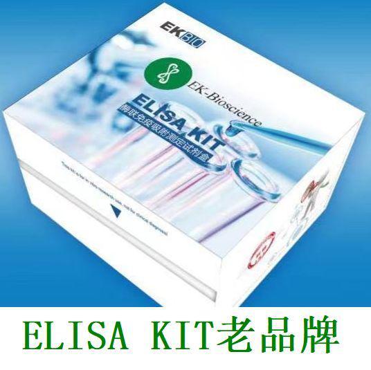 人白细胞弹性蛋白酶(HLE)、 白细胞弹性蛋白酶(HLE)ELISA试剂盒