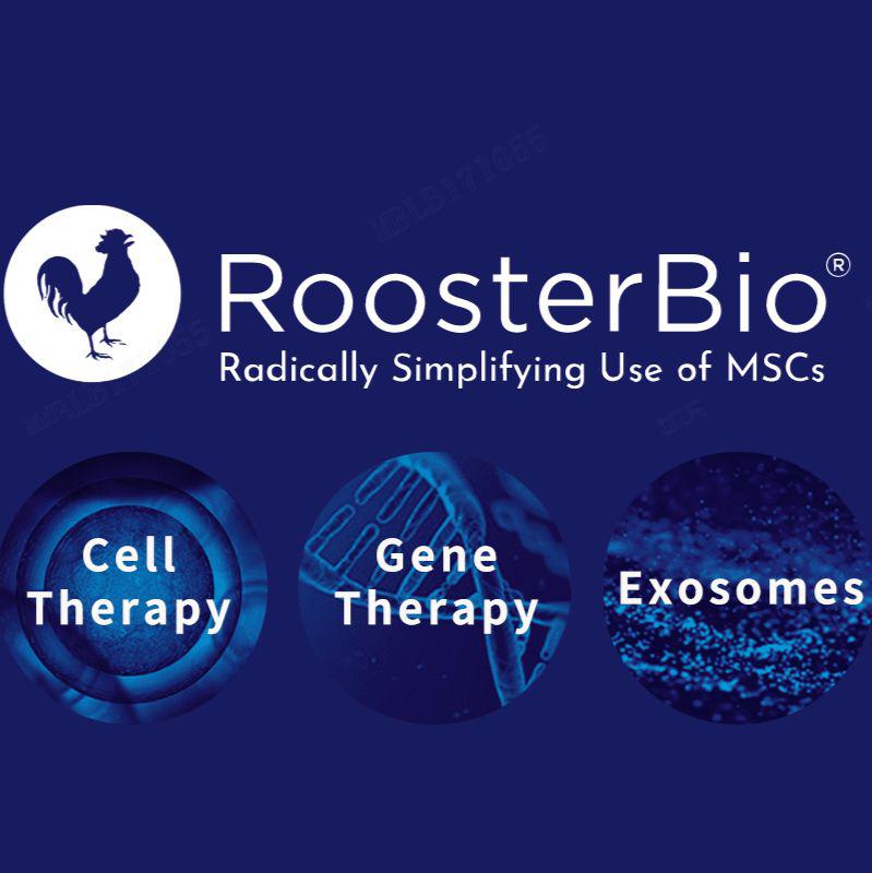 RoosterNourish - Expansion Medium间充质干细胞培养基