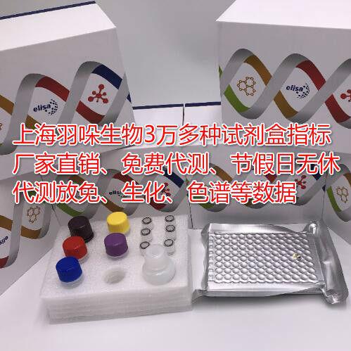 进口期货细胞白细胞介素-1β转换酶（ICE）活性荧光淬灭法定量检测试剂盒
