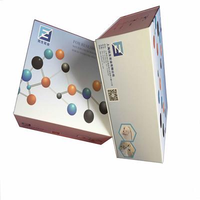 大鼠胆囊收缩素/缩胆囊素八肽(CCK-8)ELISA Kit