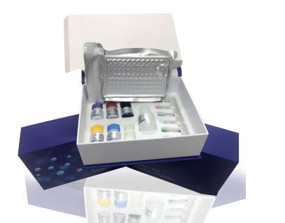 自身免疫调节因子(AIRE)ELISA检测试剂盒