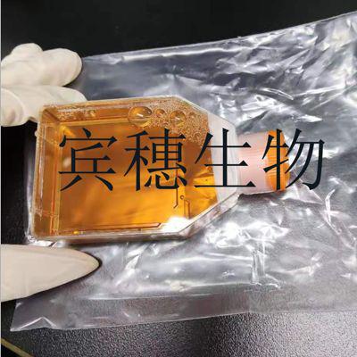 氨基酸脱羧酶试验对照基础培养基优惠多