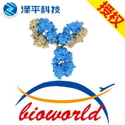Bioworld CB1 (F189) polyclonal antibody