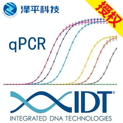 rhamp基因分型技术