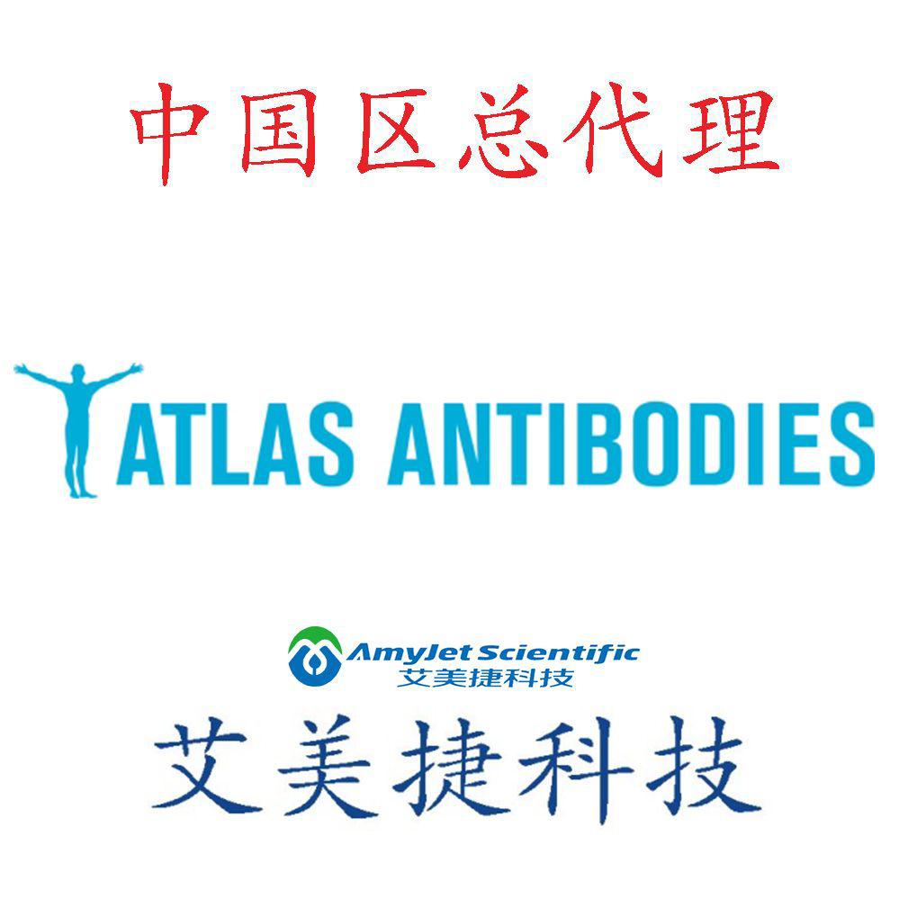 pts-anti-pts-antibody-960-960