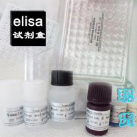 elisa试剂盒分类 ,兔肾素(Renin)ELISA试剂盒,96孔Elisa试剂盒,48孔Elisa试剂盒