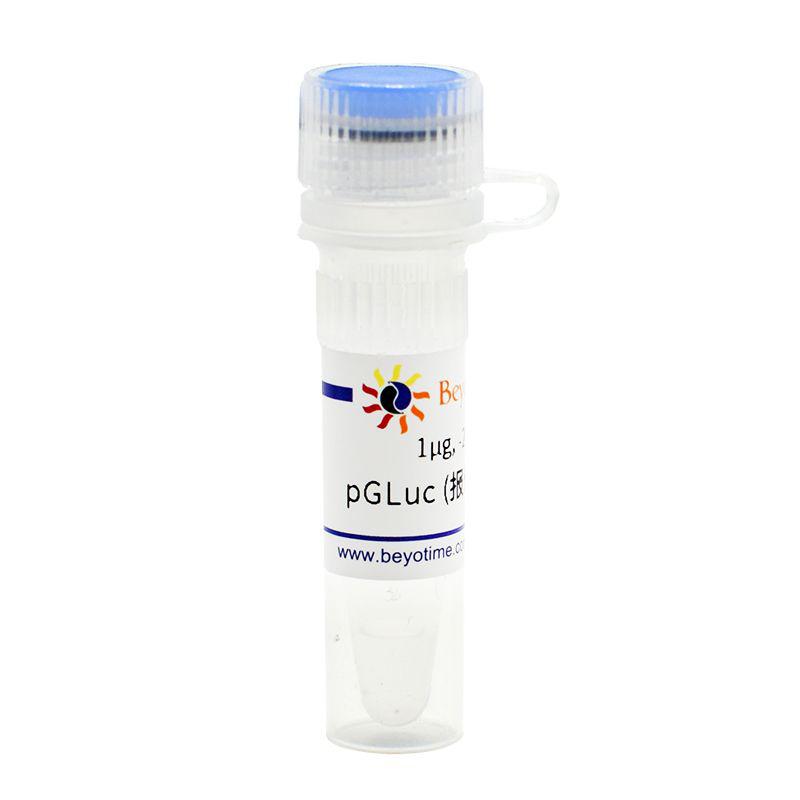 pGLuc (报告基因质粒)