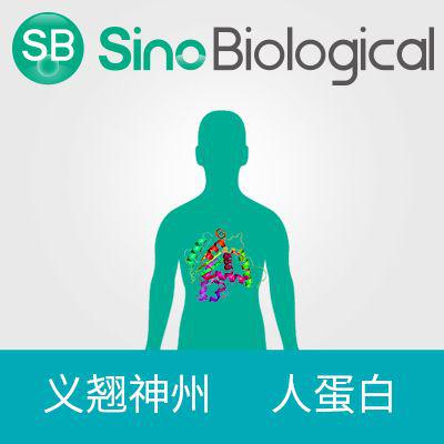 重组人 FCGRT & B2M 异源二聚体 蛋白 (His标签)