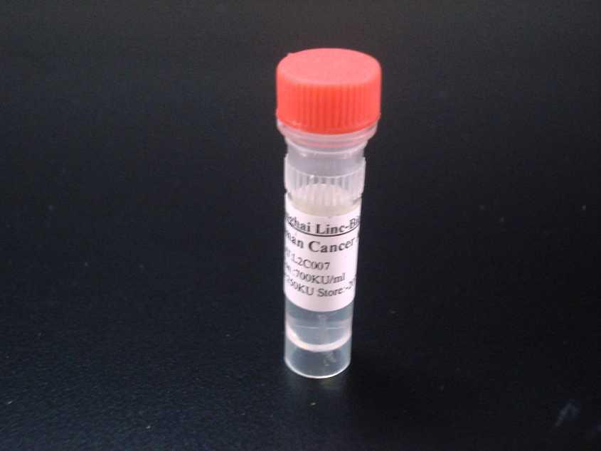 PCR产物纯化试剂盒 