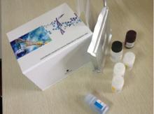 人胰岛淀粉样多肽(IAPP)elisa检测试剂盒