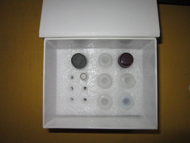通用型生物素探针原位杂交试剂盒AP显色系统