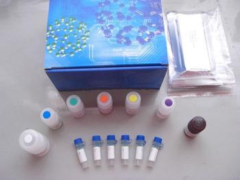 人(KAF)角化细胞内分泌因子 ELISA 试剂盒