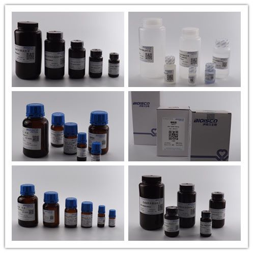 抗坏血酸过氧化物酶（APX）检测试剂盒（分光光度法50T/48S）产品图片