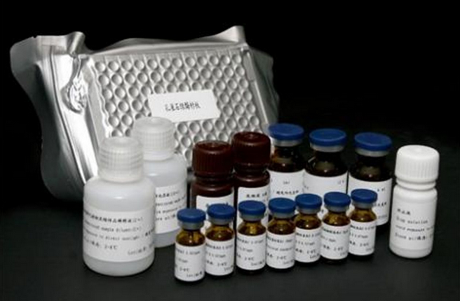 ELISA试剂盒人细胞毒素相关蛋白A(CagA)ELISA Kit