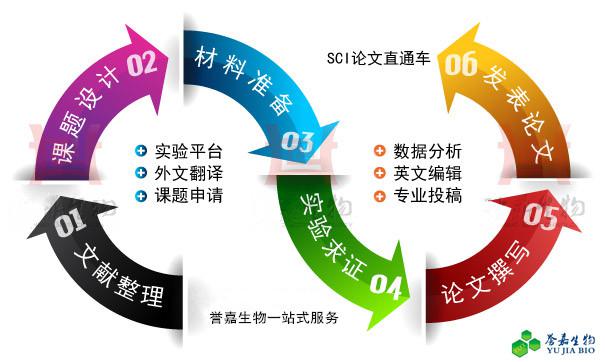 整体实验设计和实验技术外包服务