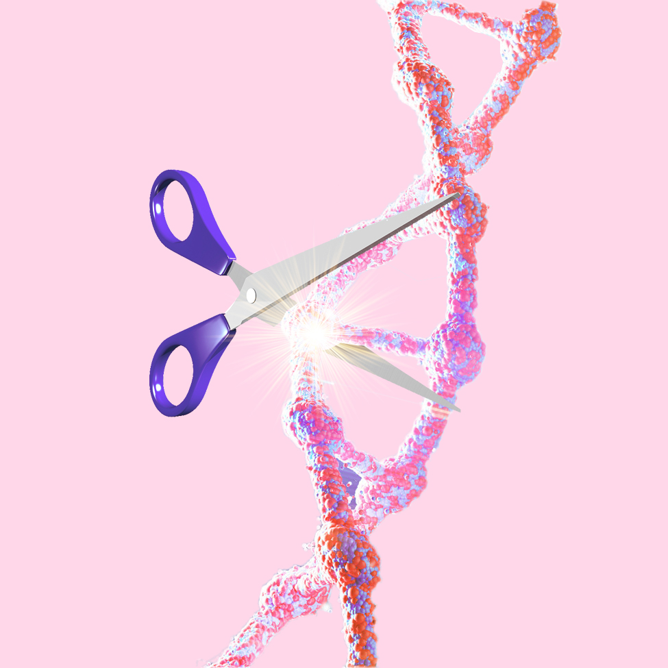 CRISPR/shRNA文库构建 