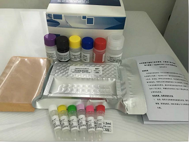 人胆囊收缩素/缩胆囊素八肽(CCK-8)ELISA Kit