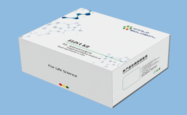 植物抗氧化酶（anti-enzyme）ELISA检测试剂盒产品图片