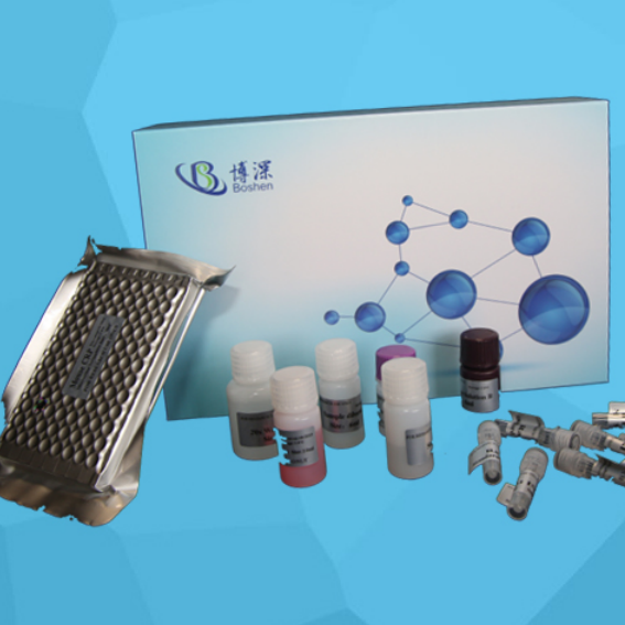植物抗氧化酶(anti-enzyme)elisa试剂盒产品图片