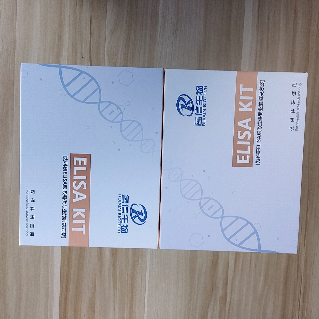 睿信生物人组织相容性复合体Ⅱ类（MHCⅡHLA-Ⅱ）ELISA试剂盒